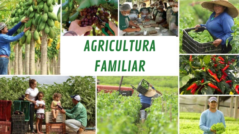 Turismo agricultura-familiar